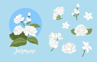 white jasmine object on blue background vector