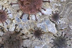 viejas texturas de piedra y roca con alguna visualización de virus fósil de virus foto