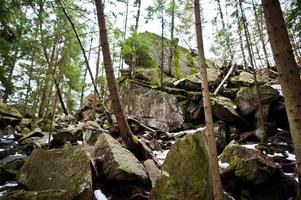 Dovbush rocks in green forest at Carpathian mountains. photo