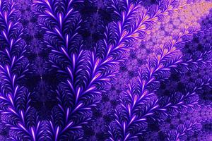 Floral patterns found in the infinite mathematical mandelbrot set fractal photo