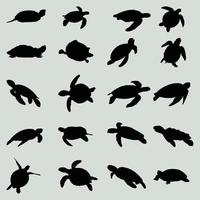 tortuga de vida silvestre animal en ilustración vectorial vector