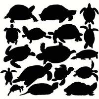 conjunto de archivos vectoriales de tortuga en silueta vector