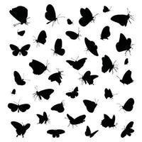 I Love Butterfly Silhouette Of Butterfly Arts vector