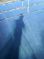 shadow of a person in pool of water photo