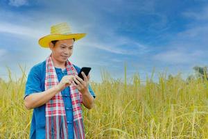 Asian peasants in robes and hats are in a field of golden rice fields. photo