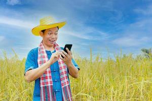 Asian peasants in robes and hats are in a field of golden rice fields. photo