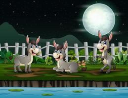 ilustración de dibujos animados de burros felices jugando en la noche vector