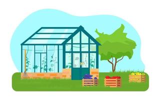 Vector illustration of greenhouse with different plants inside in flat style. Glass house with tomatoes and cucumber plants. Wooden boxes with vegetables.