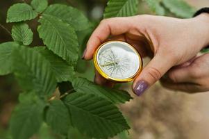 Close-up photo of female hands with compass next to a tree branch.