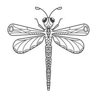 The dragonfly is decorated with an ethnic floral pattern. Hand-drawn beautiful insect in doodle style on a white background. Stylized mehndi ornament for tattooing and coloring book. vector