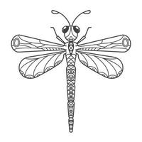 The dragonfly is decorated with an ethnic floral pattern. Hand-drawn beautiful insect in doodle style on a white background. Stylized mehndi ornament for tattooing and coloring book. vector