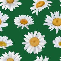 Seamless border with watercolor daisies. Hand drawn botanical drawing. Floral seamless border for fabric, paper and other print and web projects. photo