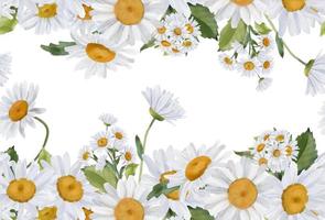 Seamless border with watercolor daisies. Hand drawn botanical drawing. Floral seamless border for fabric, paper and other print and web projects. photo