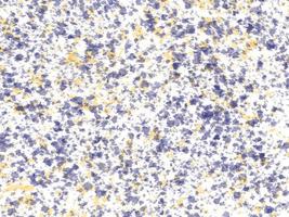 abstract twotone mess liquid fluid pattern background , greeting card or fabric photo