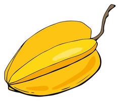 Carambola fruit. White background, isolate. Vector illustration. Organic food, healthy nutrition, vegetarian product.