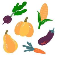 Set of hand drawn vegetables. Beets, pumpkin, eggplant, carrots, corn. White background, isolate. Vector illustration.