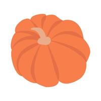 Vector illustration of an orange pumpkin. Autumn pumpkin for Halloween, vegetable graphic icon or print highlighted on a white background