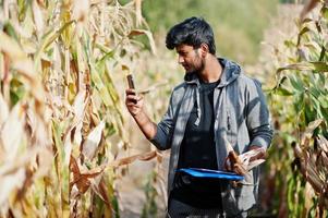 agricultor agrónomo del sur de asia inspeccionando la granja de campo de maíz. concepto de producción agrícola. foto