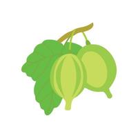 Isolated on a white background, a vector illustration of a ripe gooseberry.