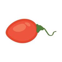 Ilustración de vector de fruta de tamarillo con un diseño plano