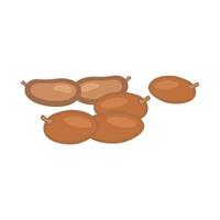 Vector flat design of a sapodilla fruit on a white background.