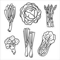 Vector black and white illustration of doodle greenery, lettuce, onion, leek, cabbage, asparagus, broccoli