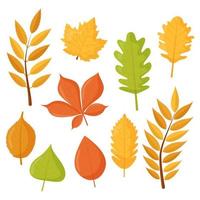 conjunto de hojas de otoño, aislado sobre fondo blanco. ilustración vectorial plana. diseño para pegatinas, logotipo, web y aplicación móvil. vector