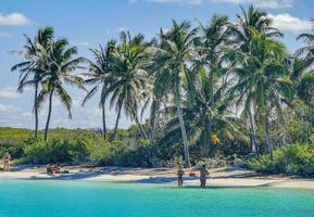 Beautiful tropical natural beach and forest panorama Contoy island Mexico. photo