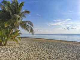 Playa Azul beach palm seascape panorama in Cancun Mexico. photo