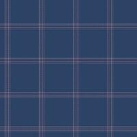 Seamless pattern of red and white line on dark blue background. Grid of white and red color on blue background. vector