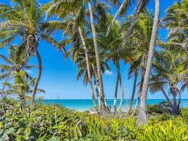 Beautiful tropical natural beach and forest panorama Contoy island Mexico. photo