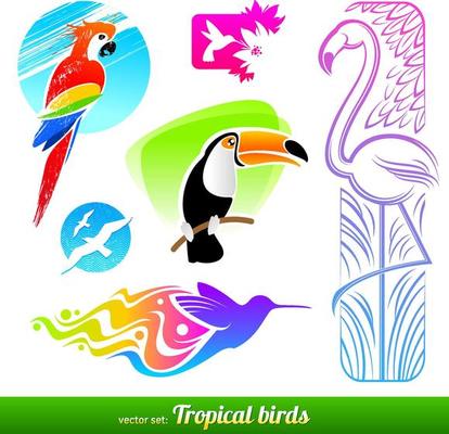 Vector set of different style tropical birds logo