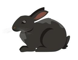 Black rabbit side view. vector