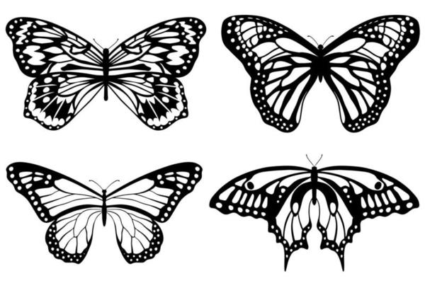 Silhouette of black butterflies. Set of butterflies.