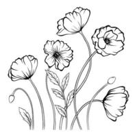 Vector line art with poppies. Monochrome floral wallpaper background. Floral ornament can use for web, printing and coloring.