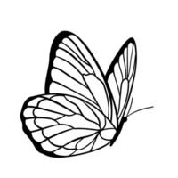 Graphic black Butterfly isolated on white background. Vector illustration