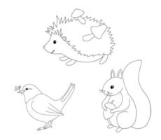 lindo contorno erizo, ardilla y pájaro para colorear página. personajes dibujados a mano animales del bosque aislados sobre fondo blanco. ilustración de caída de bosque de línea vector