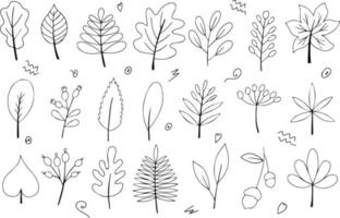 Set of autumn leaves in black and white outline. Coloring. Doodle style. Hello, Autumn. Design or sticker. Isolated vector illustration