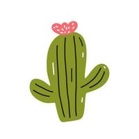 Cute cactus with a flower isolated on white background. Vector illustration in hand-drawn flat style. Perfect for cards, logo, decorations, various designs. Botanical clipart.