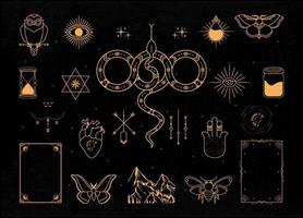 Mystical and celestial elements vector