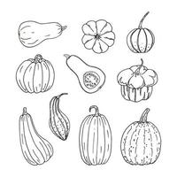 Set of hand drawn black color different pumpkins. Simple doodle style autumn illustration vector