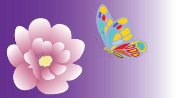 Soft color flower and butterfly isolated on background. Greeting card. vector