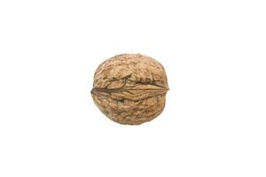 Single walnut isolated on white background photo