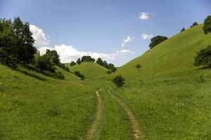 Zagajica hills in Serbia photo