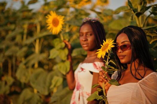 dos jóvenes amigas negras usan pose de vestido de verano en un campo de girasoles. foto