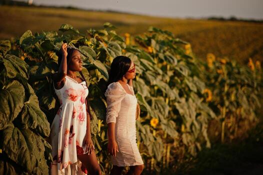 dos jóvenes amigas negras usan pose de vestido de verano en un campo de girasoles. foto