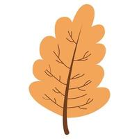 hand-drawn illustration of an autumn leaf isolated on a white background, vector. vector