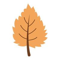 hand-drawn illustration of an autumn leaf isolated on a white background, vector. vector