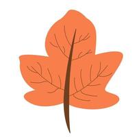 ilustración dibujada a mano de una hoja de otoño aislada en un fondo blanco, vector. vector