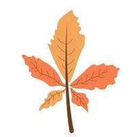 ilustración dibujada a mano de una hoja de otoño aislada en un fondo blanco, vector. vector